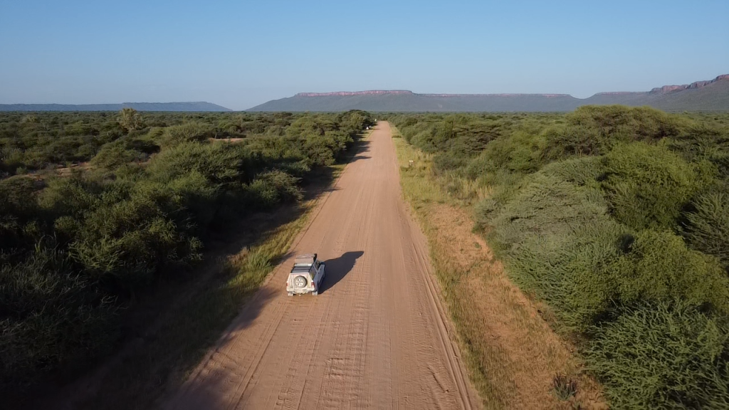 Schotterstraße im Wald auf dem Weg zum Wartenberg Plateau - Namibia