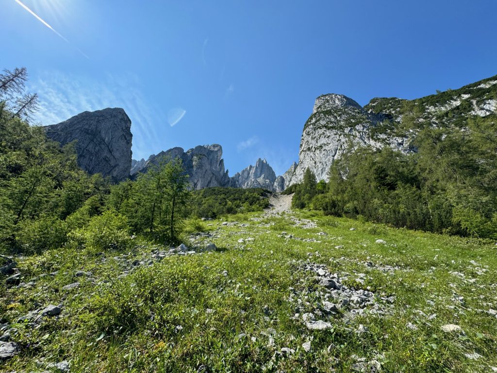 Blick auf die Alpenkette mit dem Großen Donnerkogel, im Vordergrund steile Almwiese