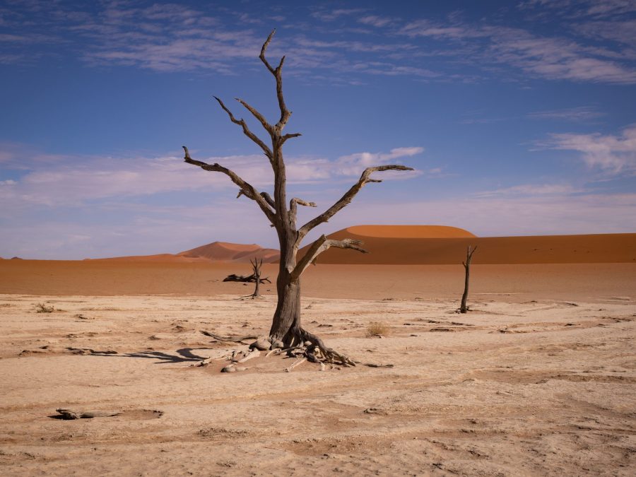 Deadvlei - Namib-Naukluft-Nationalpark (Namibia)