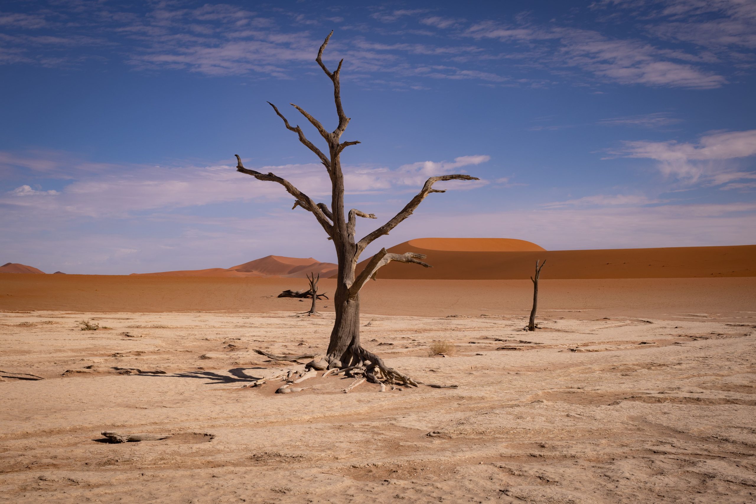 Deadvlei - Namib-Naukluft-Nationalpark (Namibia)