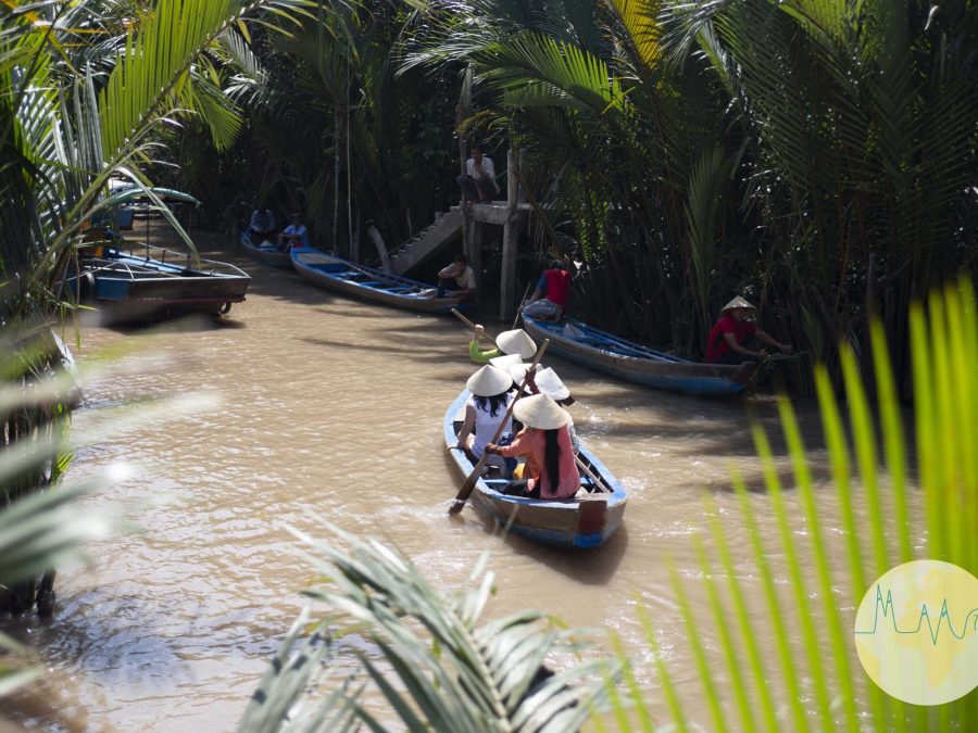 Fluss mit kleinen Holzbooten zischen Farnen und Palmen in Vietnam