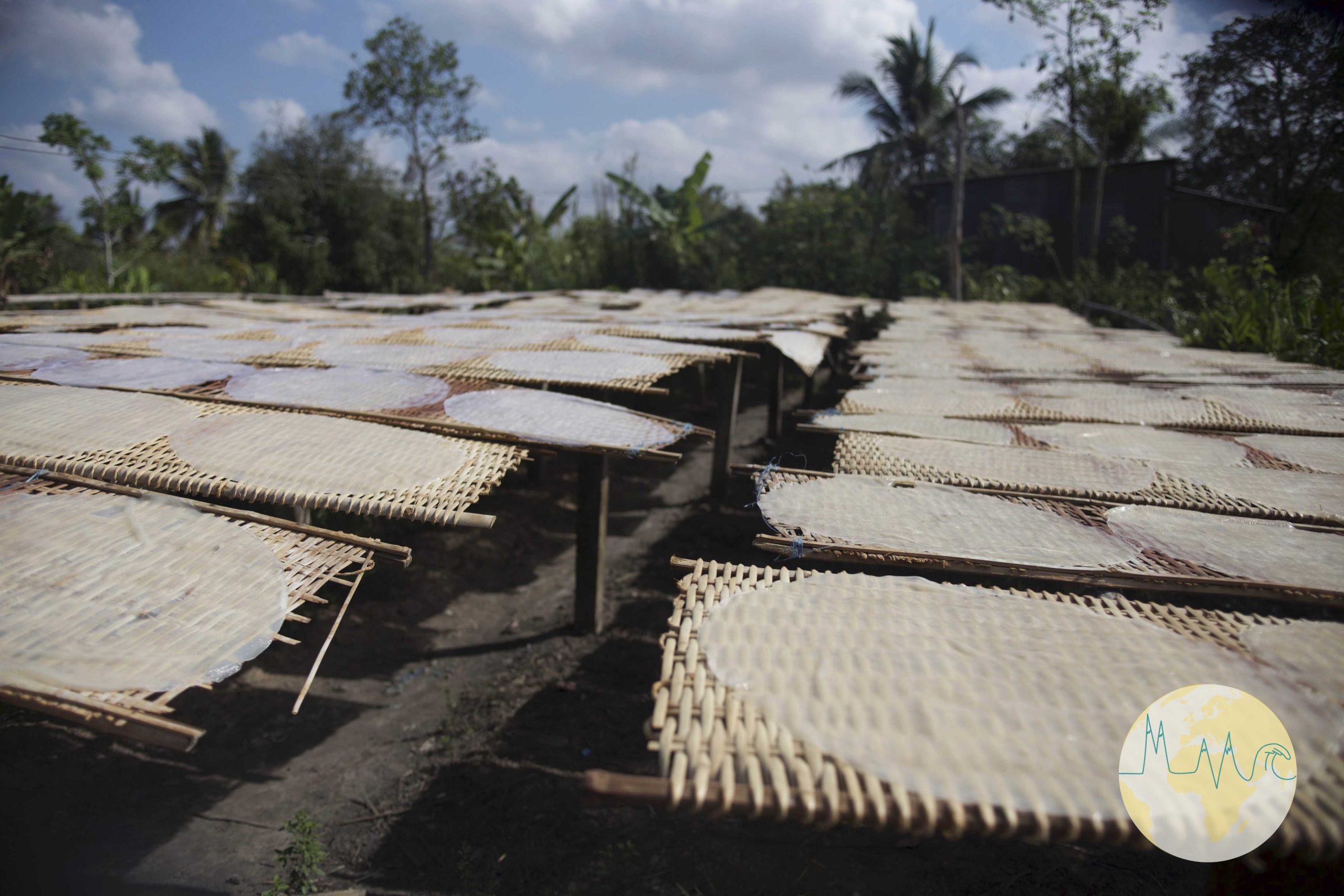 Trocknende Reisplatten auf Matten liegend - Vietnam