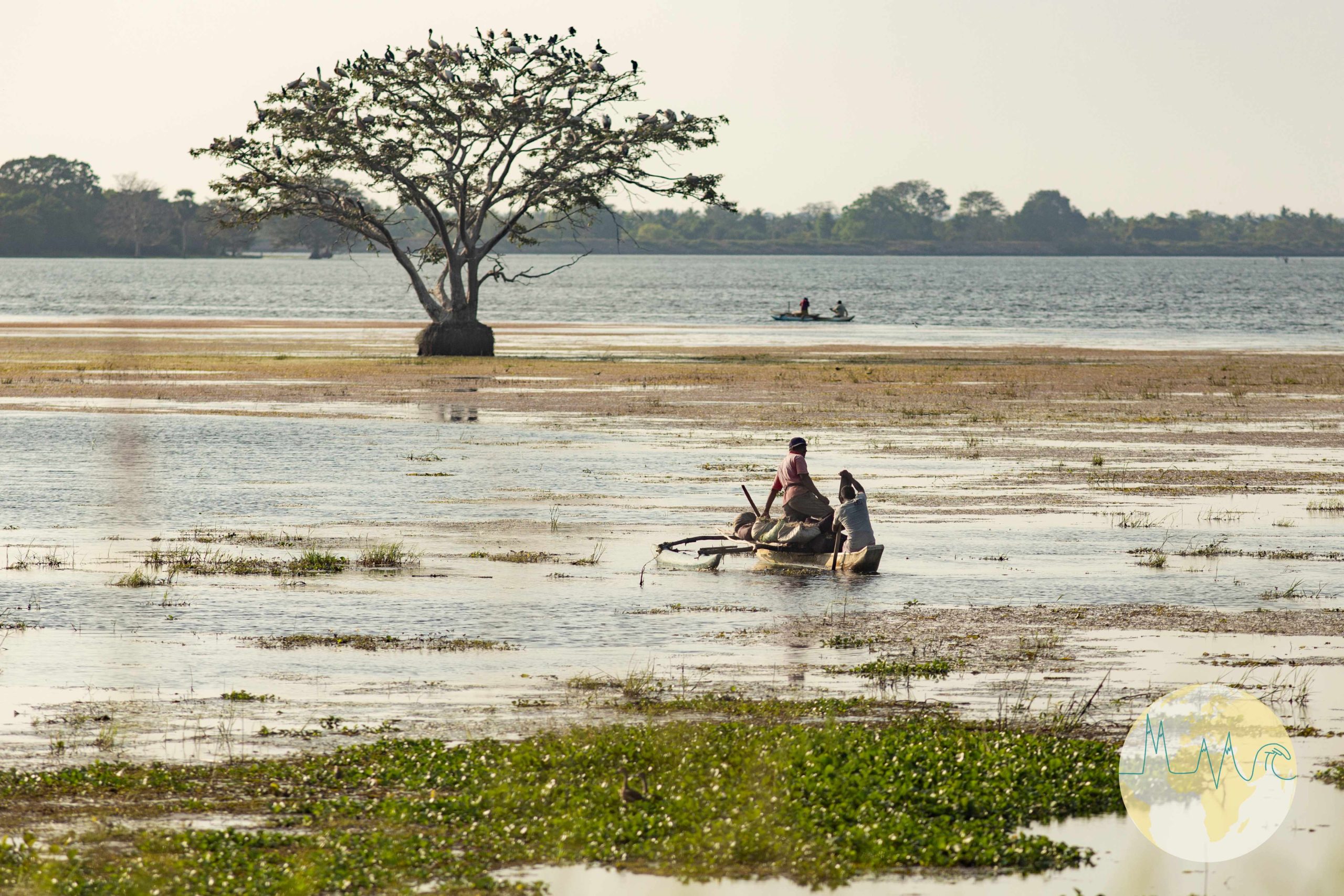 Baum in einem See stehend, Menschen mit kleinen Holzbooten paddeln auf dem See