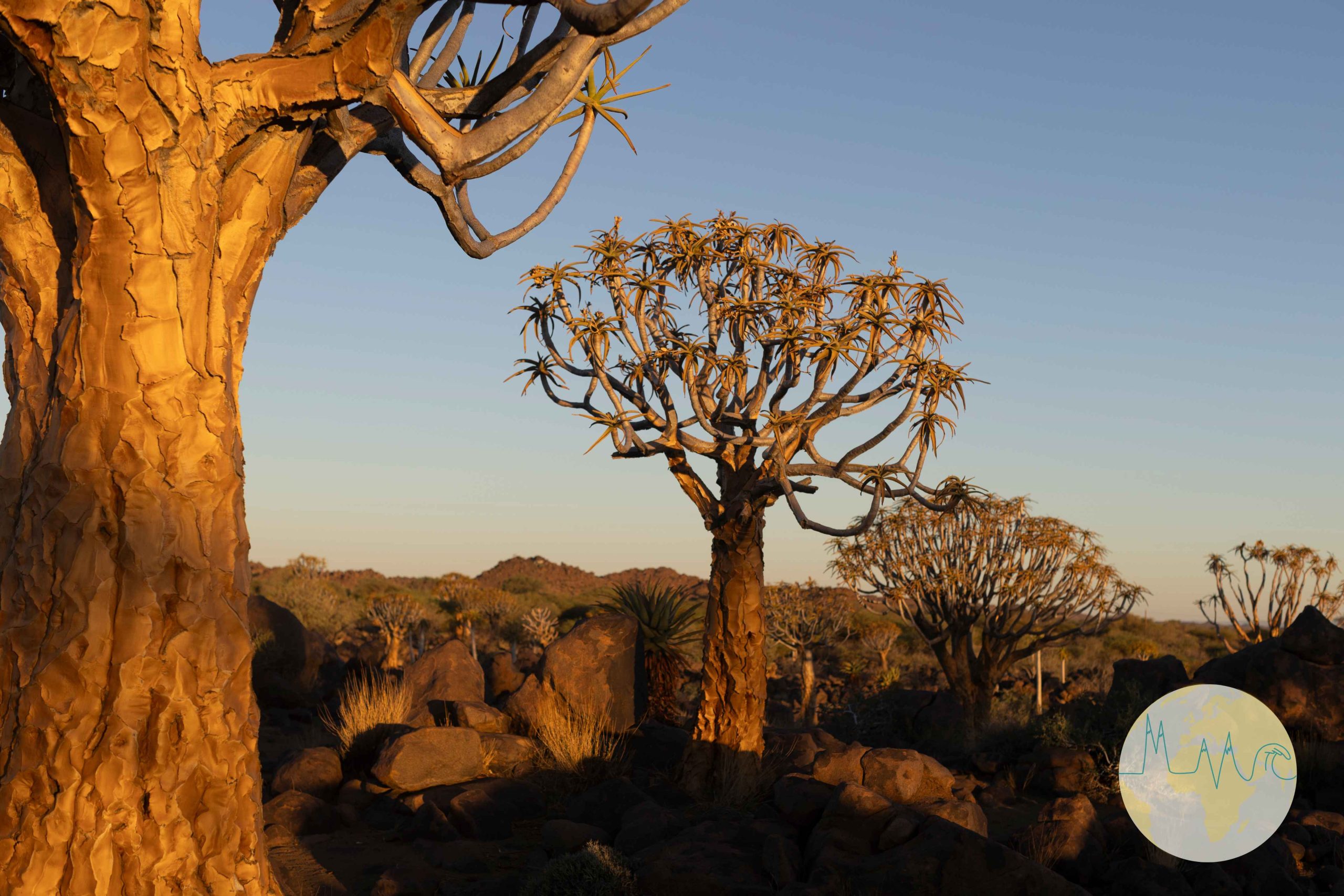 Stockfoto-Paket: Namibia – Bild 6