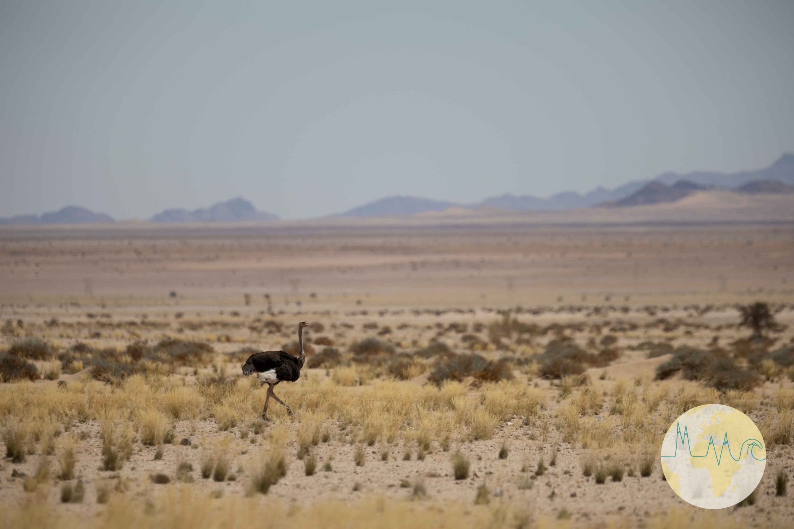 Stockfoto-Paket: Namibia – Bild 9