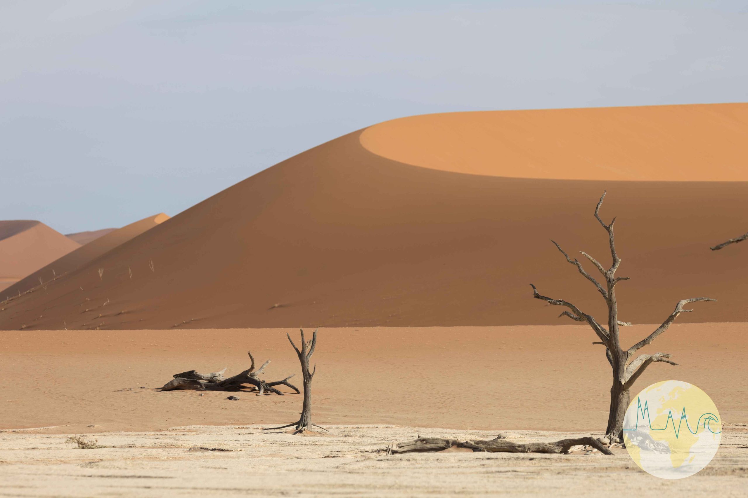 Vertrocknete Bäume vor hohen orangefarbenen Dünen im Vertrocknete Bäume in einer Salzpfanne, im Hintergrund rote Dünen im Dead Vlei - Namibia