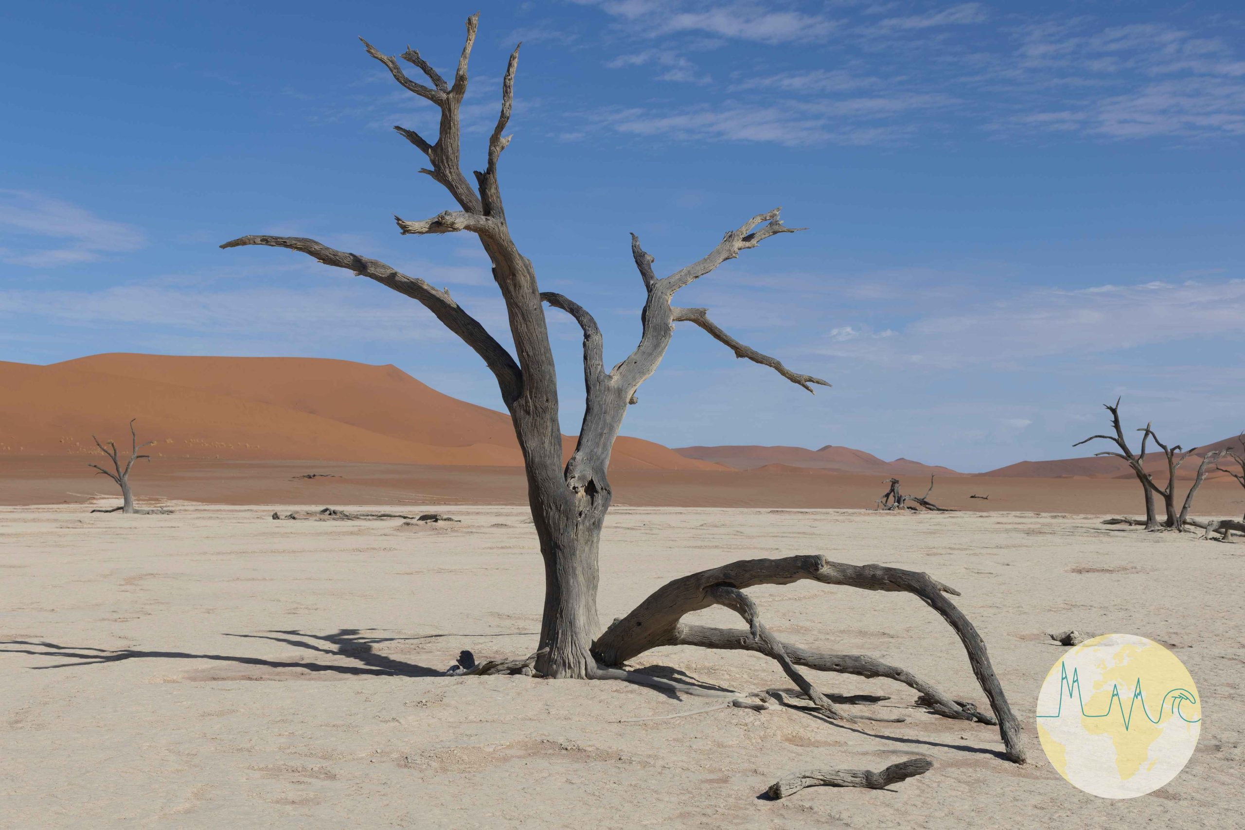 Vertrocknete Bäume in einer Salzpfanne, im Hintergrund rote Dünen im Dead Vlei - Namibia