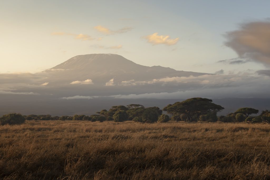 Blick auf den Kilimanjaro aus dem Amboseli Nationalpark in Kenia