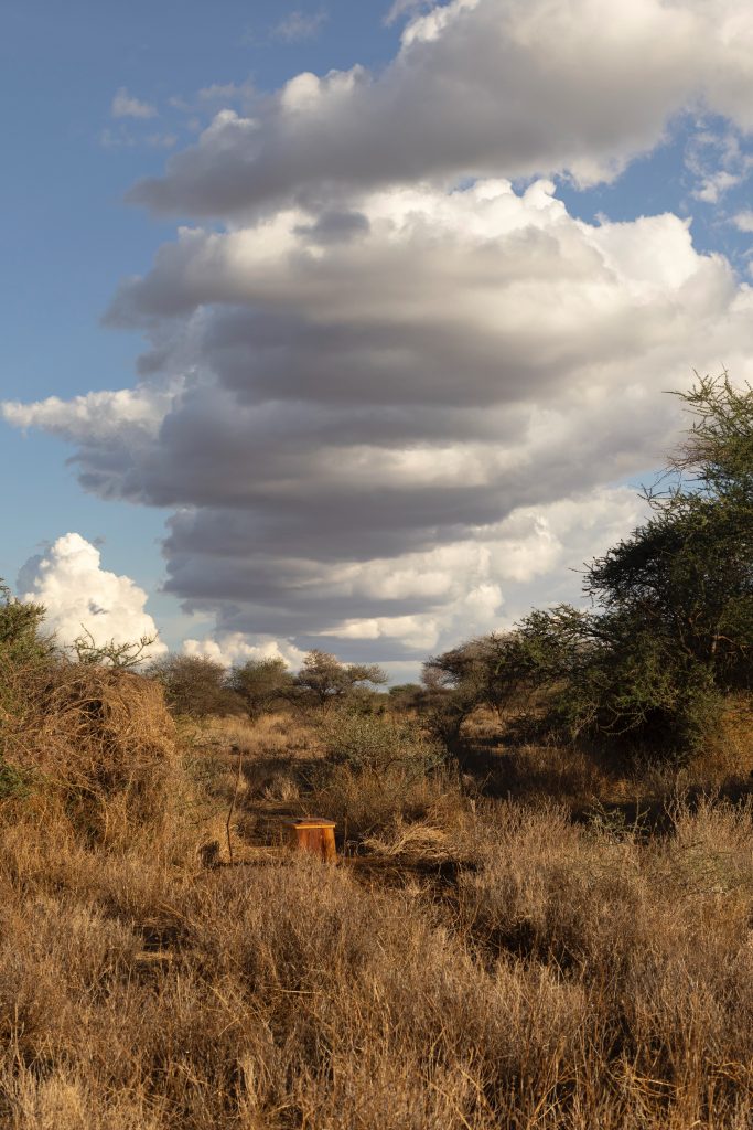 Bush Toilette beim Amboseli Nationalpark