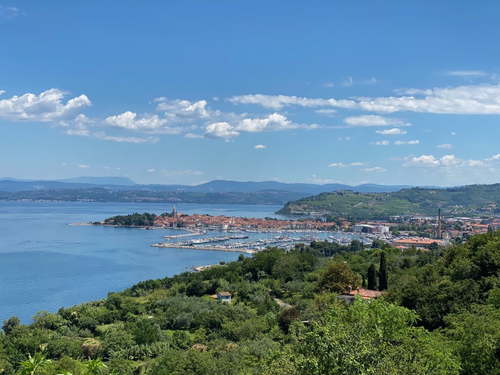 Blick auf Izola in Slowenien mit dem Hafen, im Vordergrund Wälder