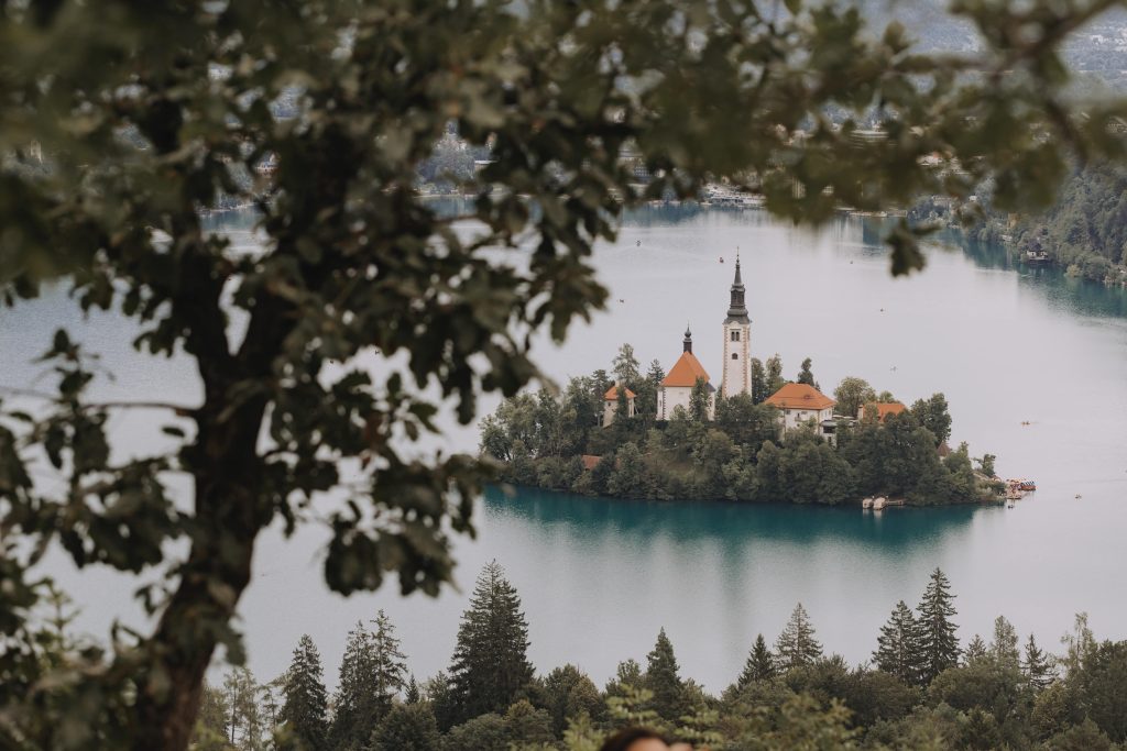 Blick durch Gebüsch auf die Insel auf dem Lake Bled