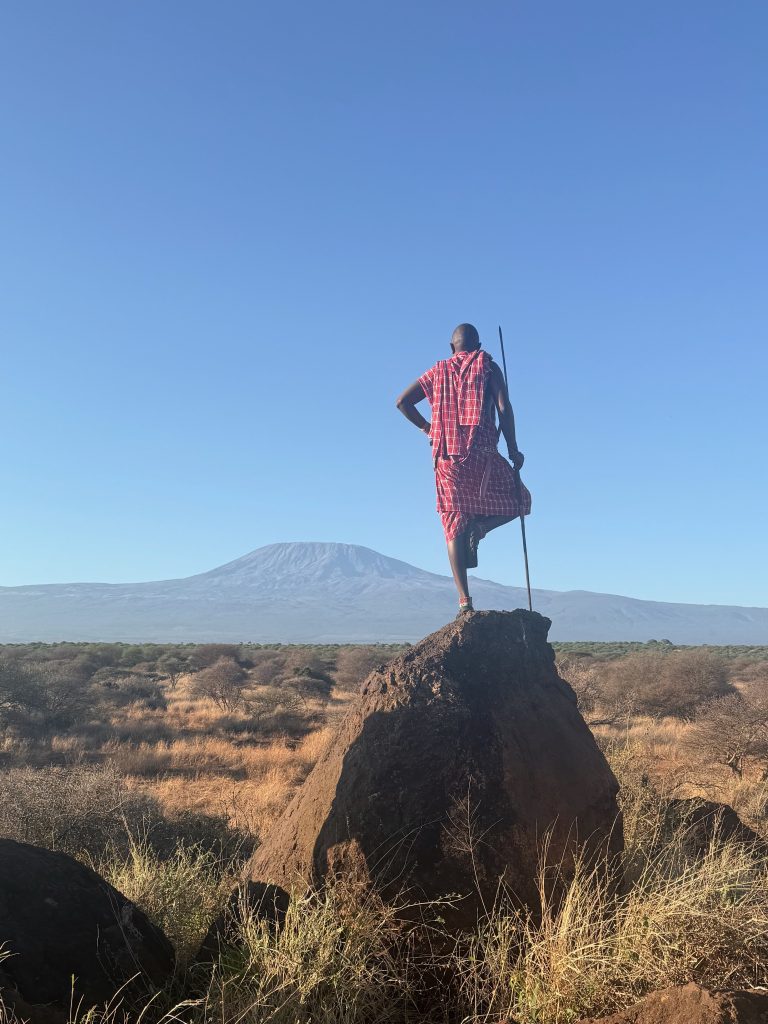 Massai einbeinig stehend auf einem Hügel vor dem Kilimanjaro