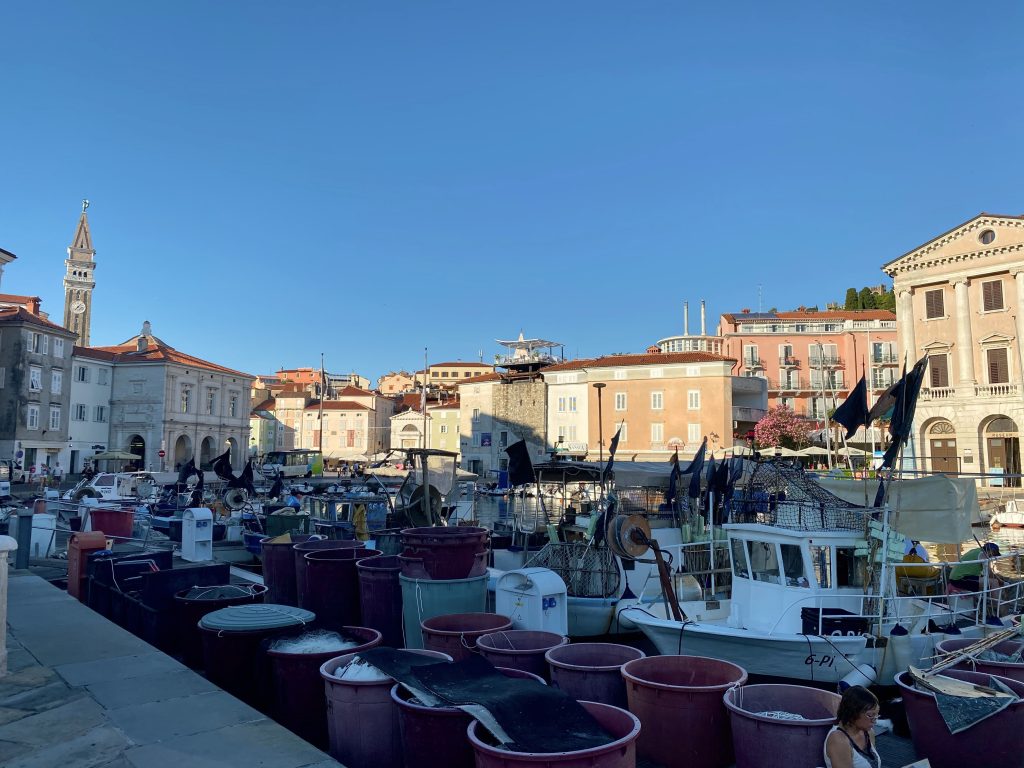 Blick auf die Altstadt von Piran in Slowenien, im Vordergrund der Hafen, im Hintergrund der Kirchturm