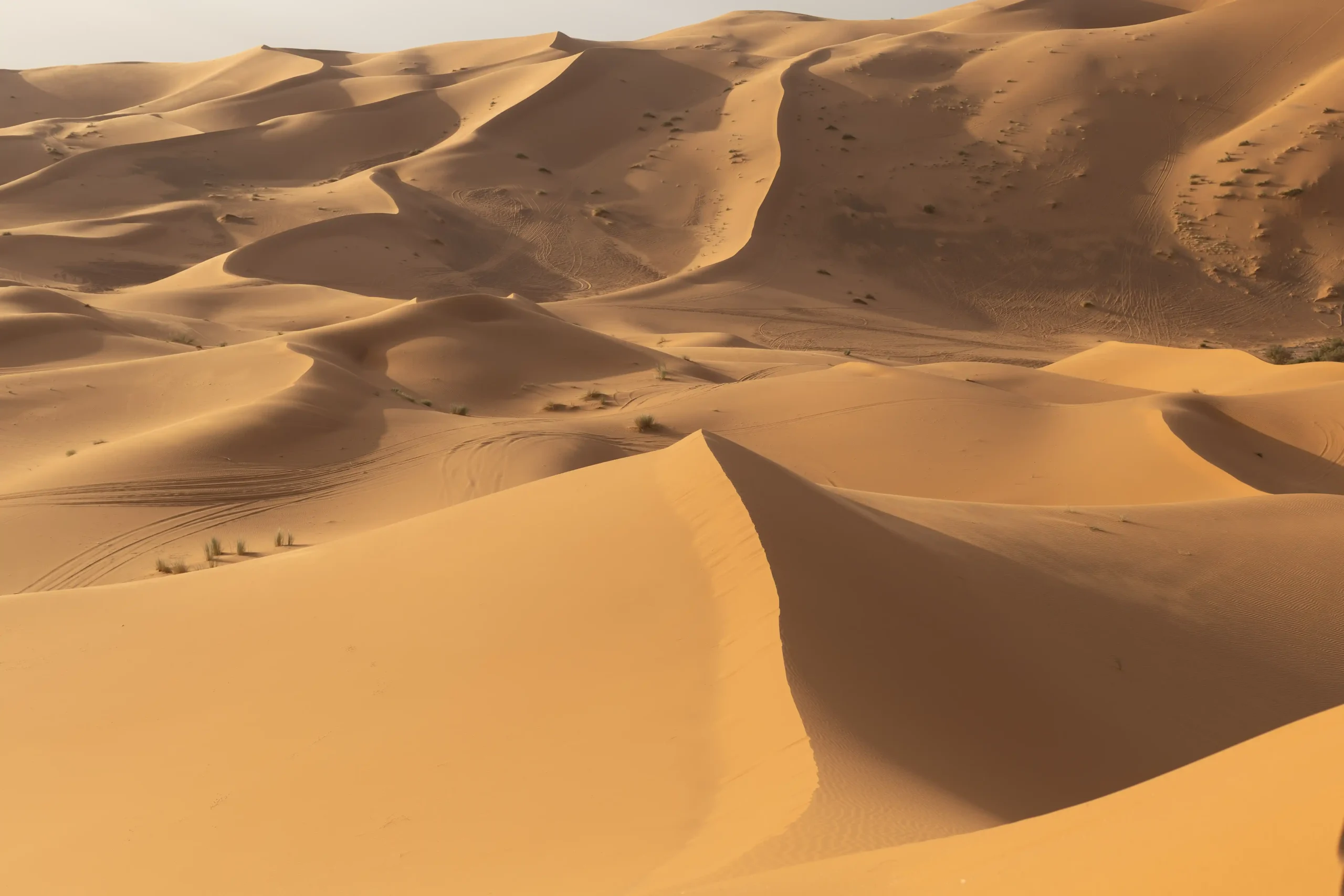 hohe Dünen aus goldfarbenem Sand in der Sahara in Marokko