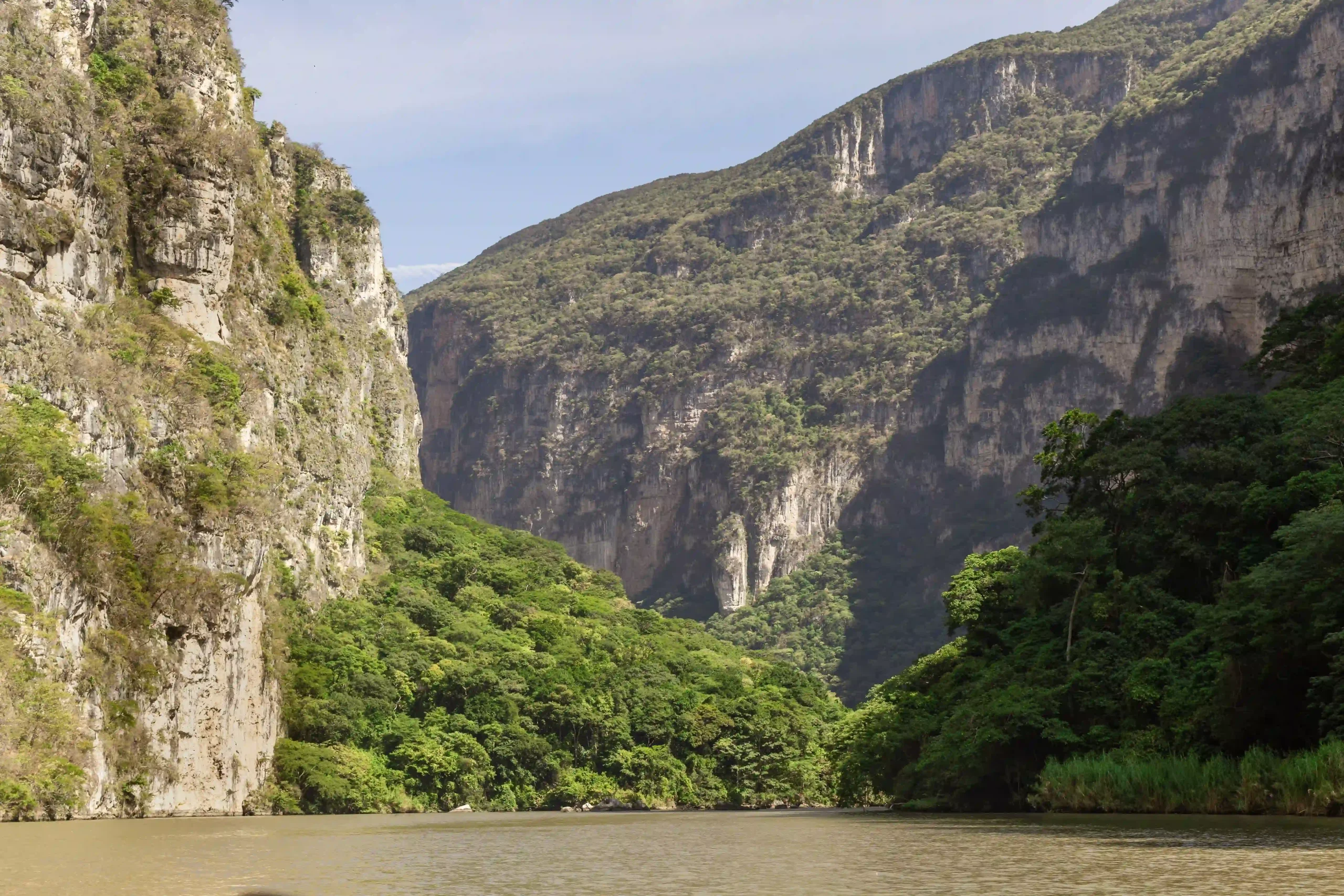 Hohe, bewachsene Felswände im Cañón del Sumidero in Chiapas