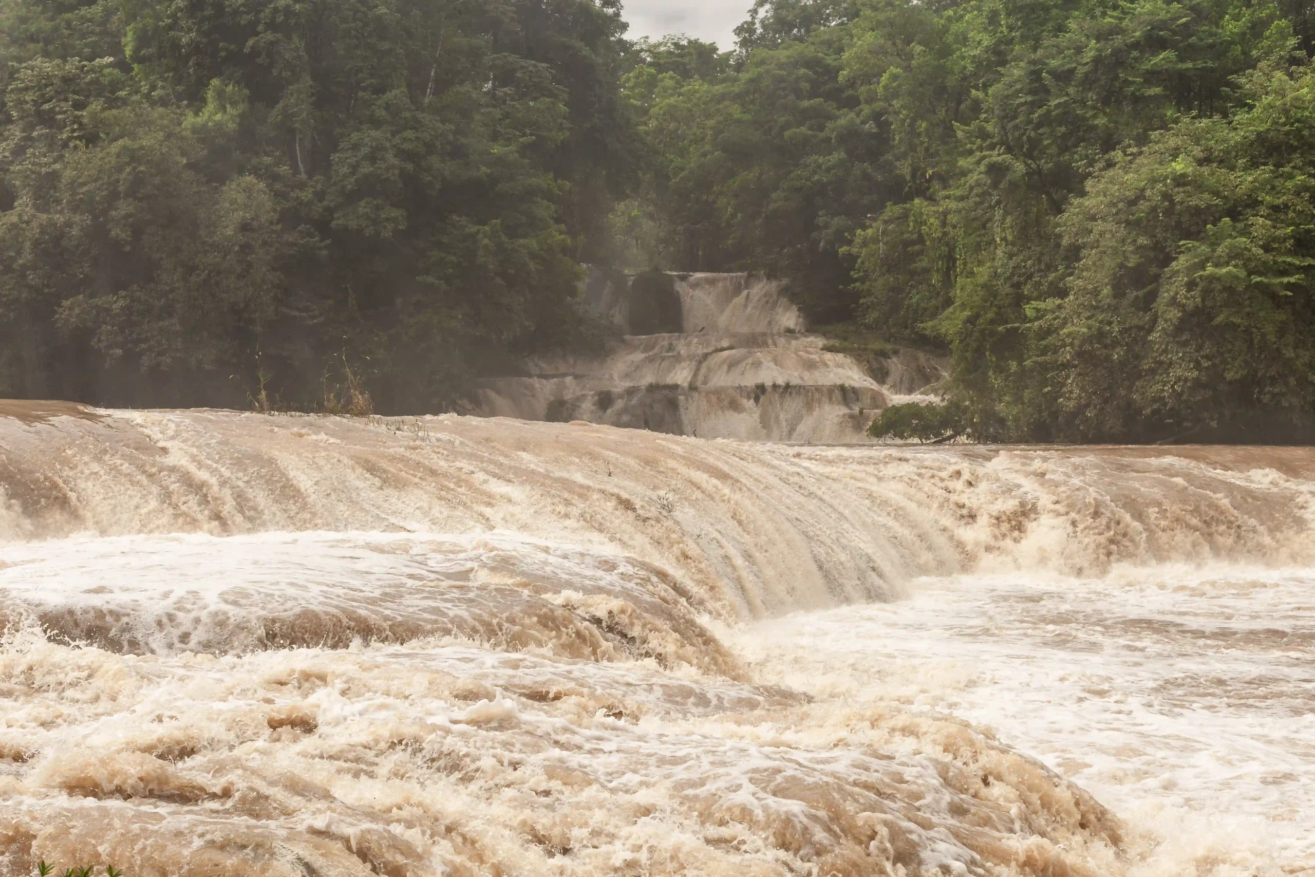 Dichter, mehrstufiger Wasserfall voller bräunlichem Wasser am Cascadas de Agua Azul in Chiapas