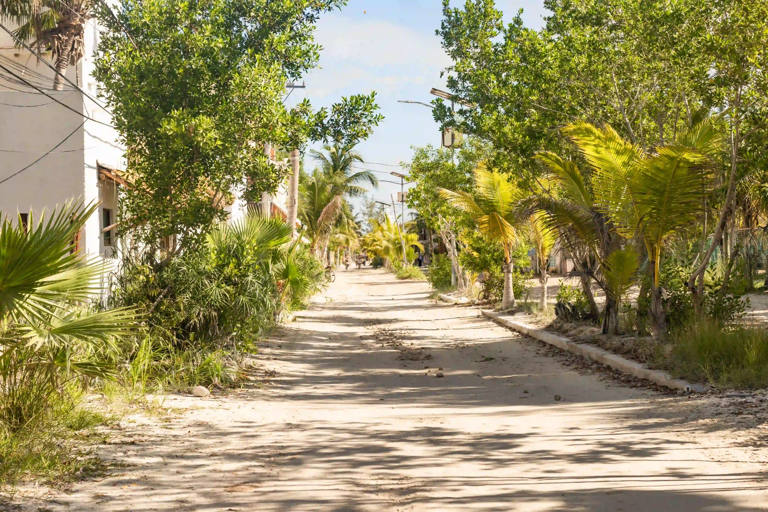 Sandige Straßen von Holbox, links und rechts der Straße dichte Vegetation aus grünen Bäumen, Farnen und Palmen